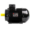 NICOLINI ELECTRIC MOTOR 4KW 5.5HP 415V F100 (3 PHASE)